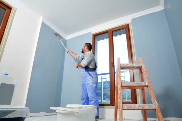Best Forensic Mold Investigation  in Meridian, CO