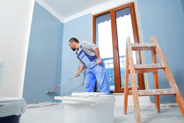 Professional Mold Removal in Meridian, CO