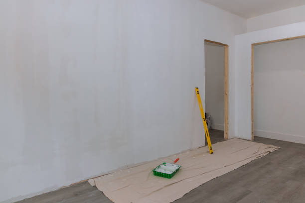 Best Commercial Mold Inspection  in Meridian, CO