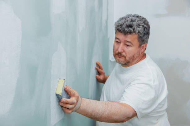 Best Residential Mold Inspection & Testing  in Meridian, CO