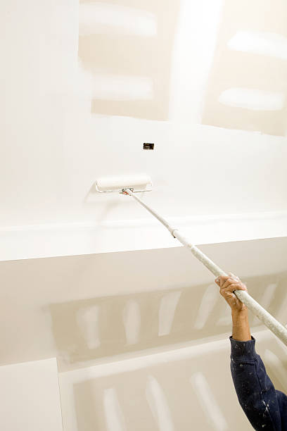 Best Mold Odor Removal Services  in Meridian, CO