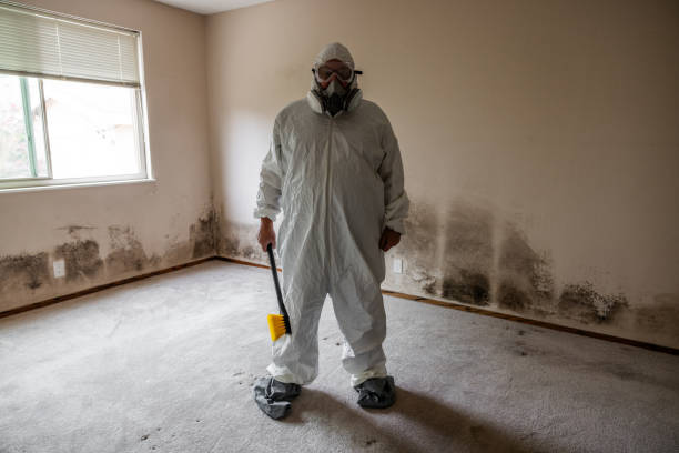 Best Mold Remediation for Healthcare Facilities  in Meridian, CO