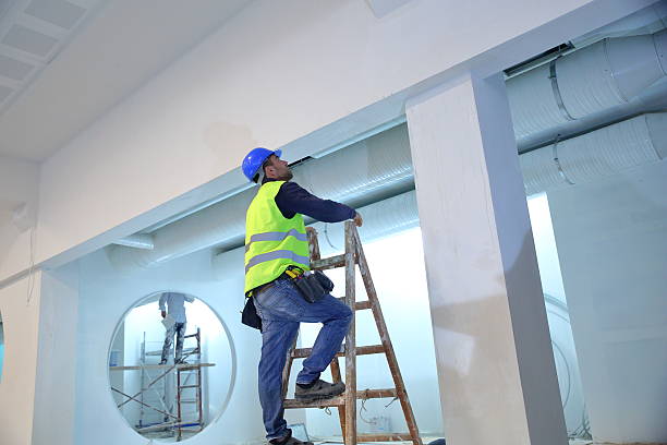 Best Basement Mold Removal  in Meridian, CO