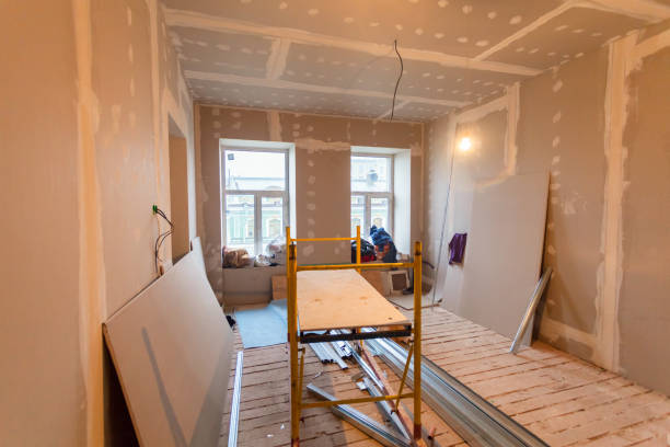 Best Post-Construction Mold Inspection  in Meridian, CO